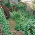 בית נופש Maria Quinta 5 