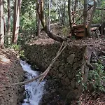 Maria Quinta 5 