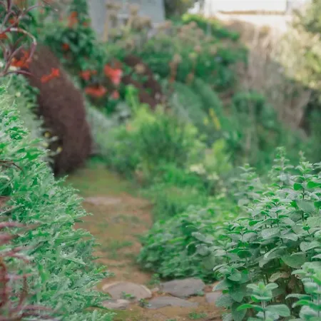 بيت للعطل Maria Quinta 5 