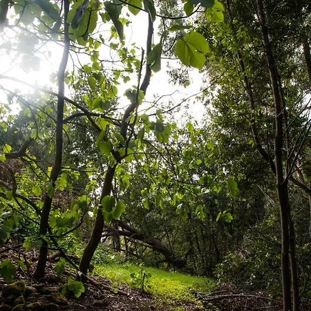 بيت للعطل Maria Quinta 5 