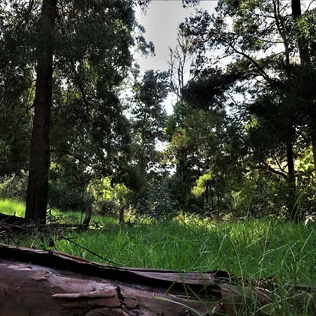 펜션 Maria Quinta 5 