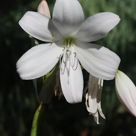 بيت للعطل Maria Quinta 5 