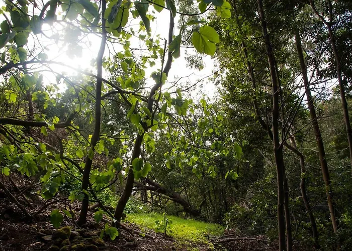Casa de Férias Maria Quinta 5 